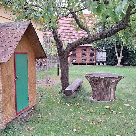Penzion U Stoly Usilne Exterior foto